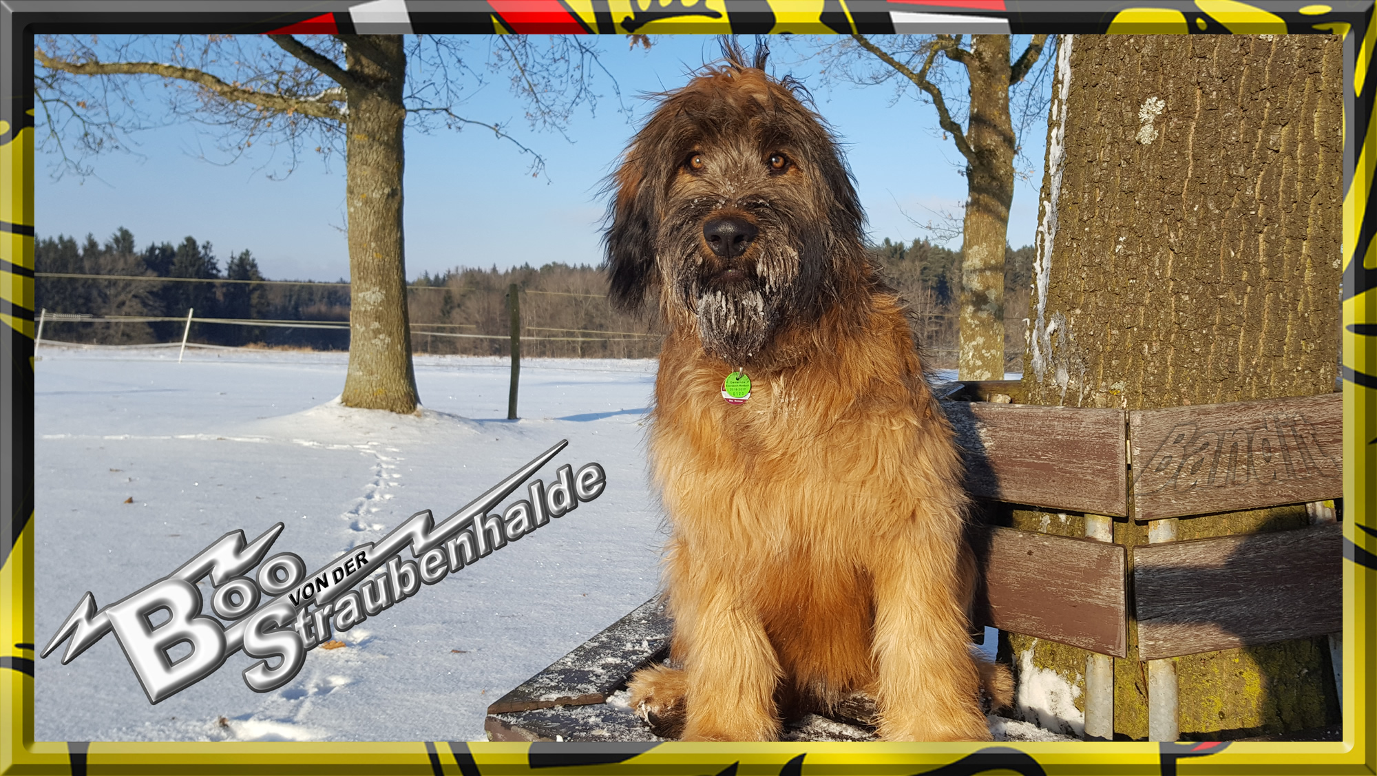 Wäller von der Straubenhalde